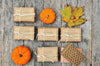 Fall Soap Has Arrived!!!